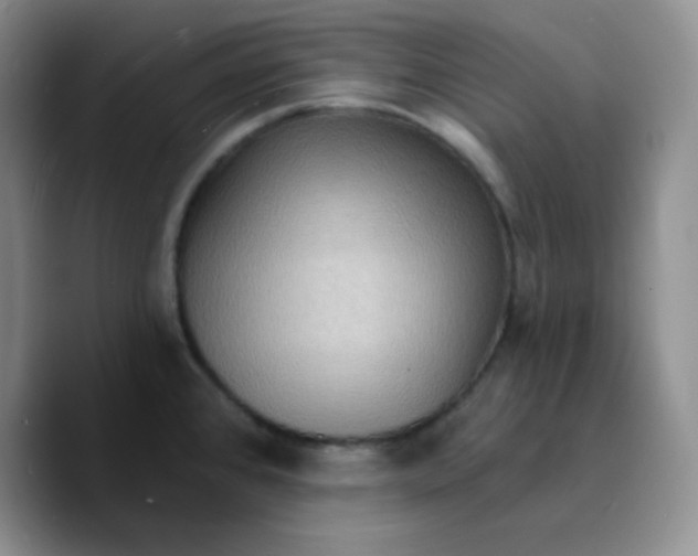 X0000089701384200707201731
