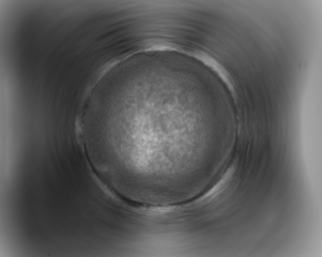 X0000089701385200707201731
