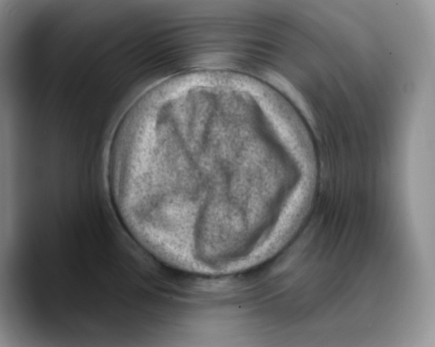 X0000089701386200707201731