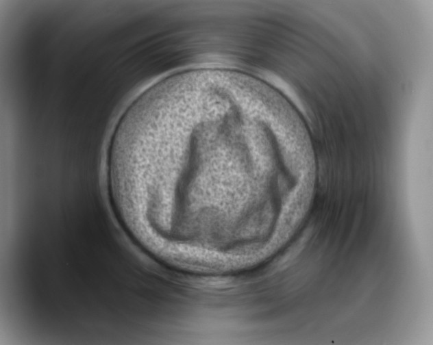 X0000089701387200707201731