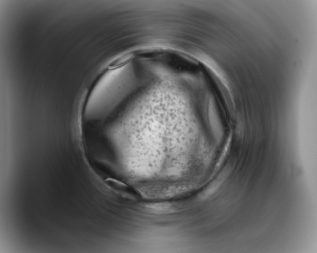 X0000089701388200707201731