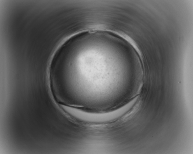 X0000089701389200707201731