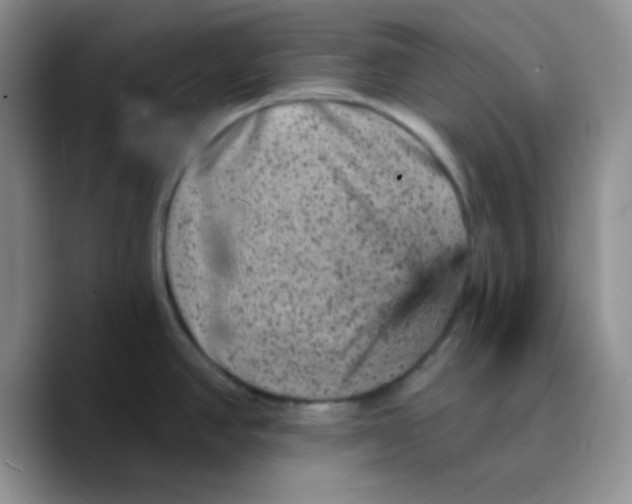 X0000089701390200707201731