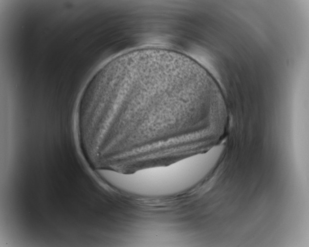 X0000089701391200707201731