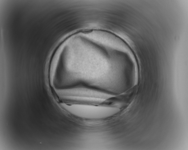 X0000089701392200707201731