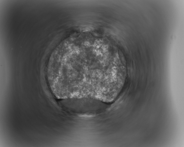 X0000089701393200707201731