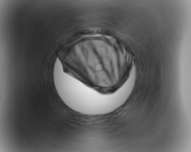 X0000089701394200707201731