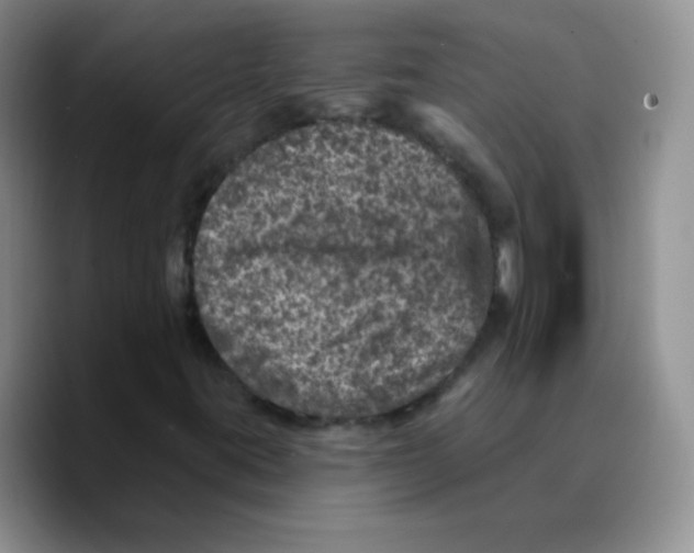 X0000089701395200707201731
