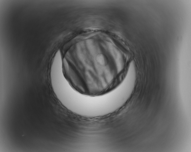 X0000089701398200707201731