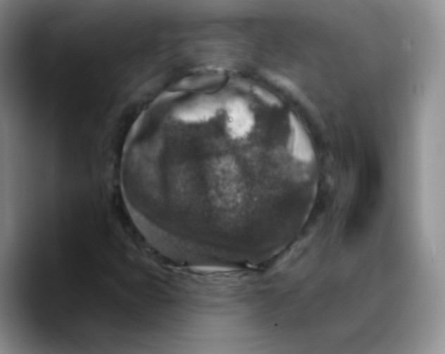 X0000089701399200707201731