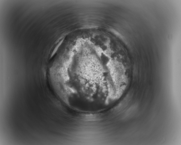 X0000089701401200707201731