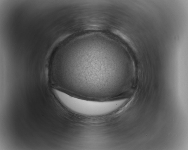 X0000089701402200707201731