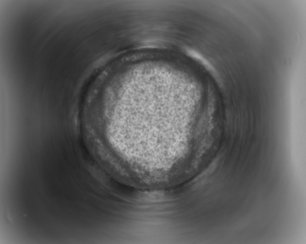 X0000089701403200707201731