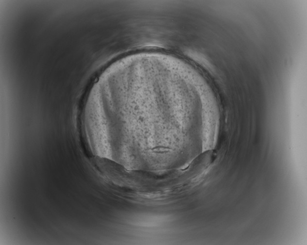 X0000089701404200707201731