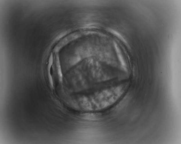 X0000089701405200707201731