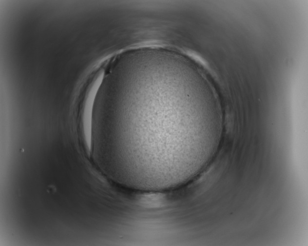 X0000089701406200707201731