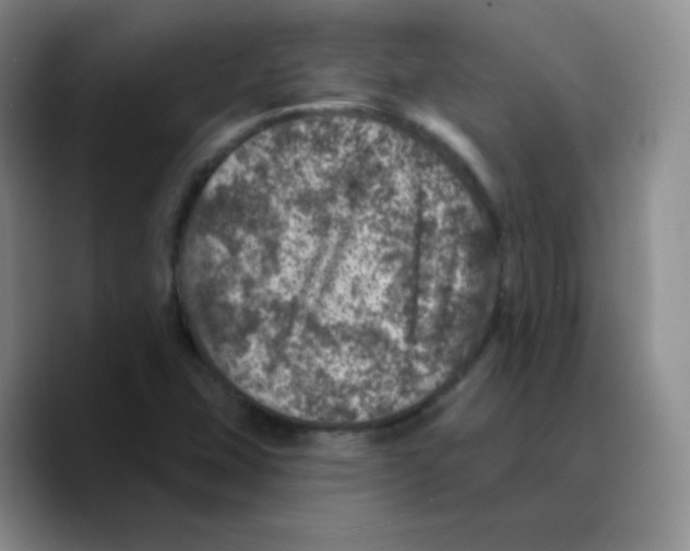 X0000089701407200707201731