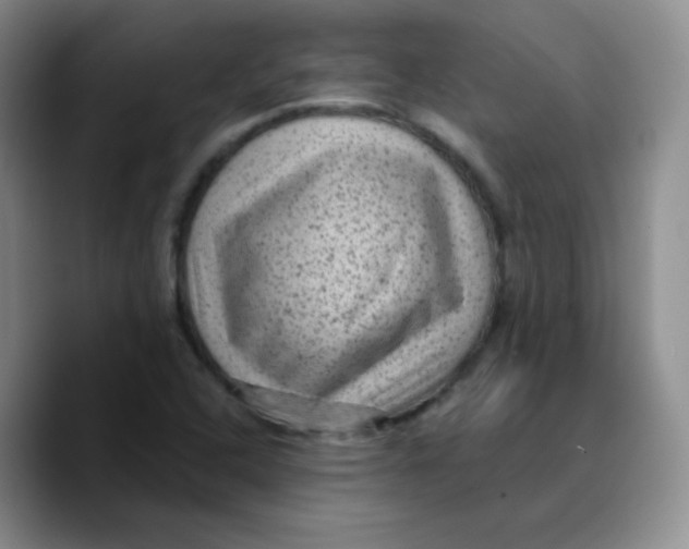 X0000089701408200707201731