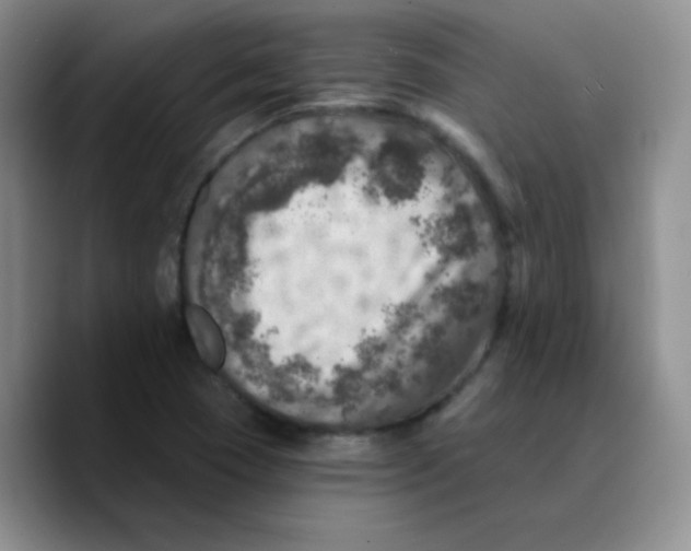 X0000089701409200707201731