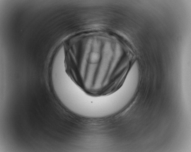 X0000089701410200707201731