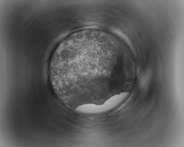 X0000089701411200707201731