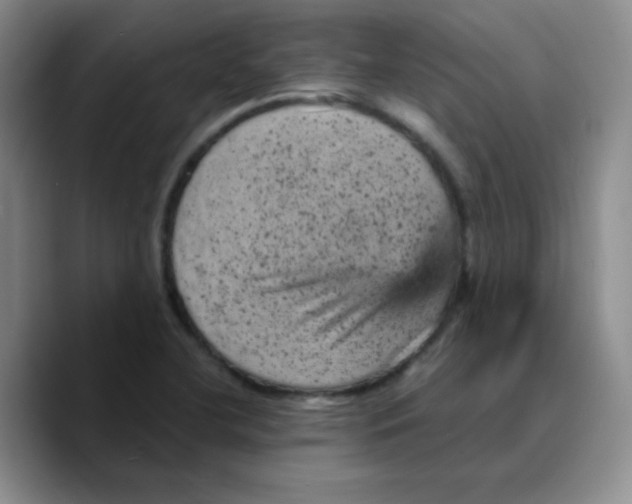 X0000089701412200707201731