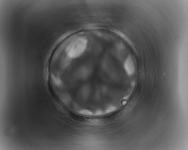 X0000089701413200707201731