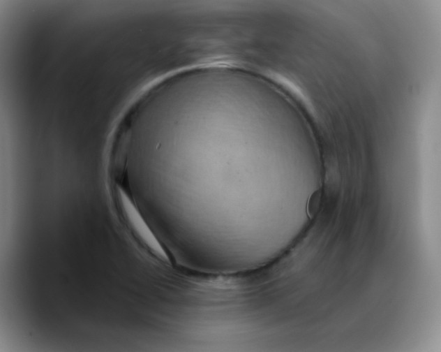 X0000089701414200707201731