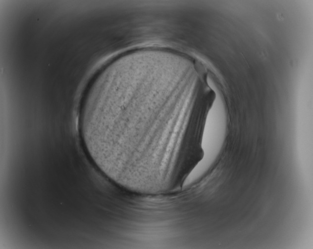 X0000089701416200707201731