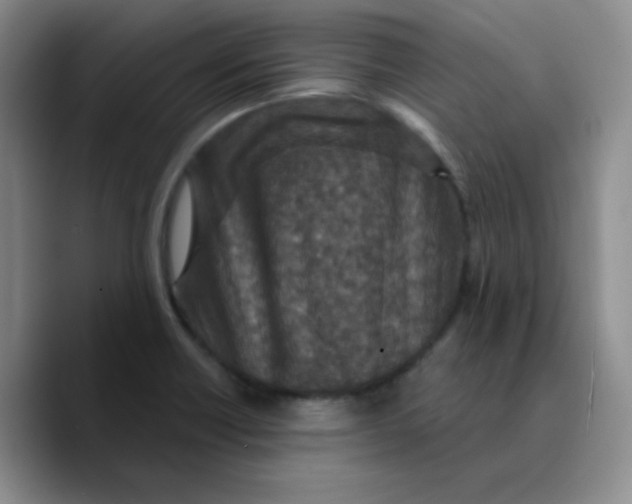 X0000089701418200707201731
