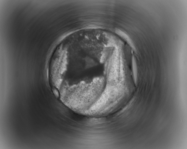 X0000089701419200707201731