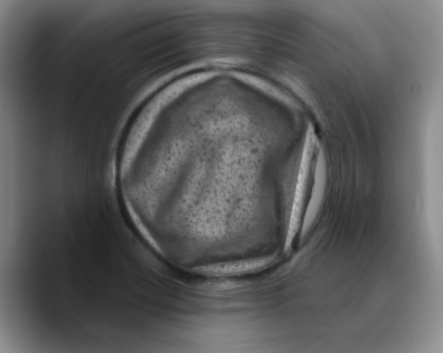 X0000089701420200707201731