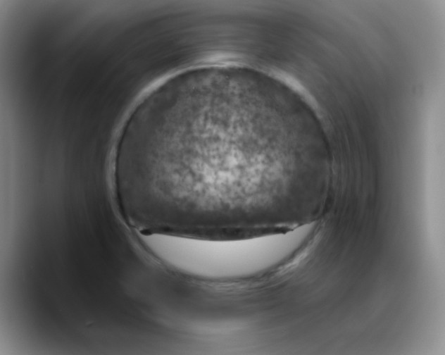 X0000089701421200707201731
