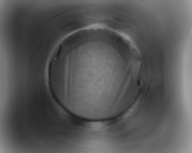 X0000089701422200707201731