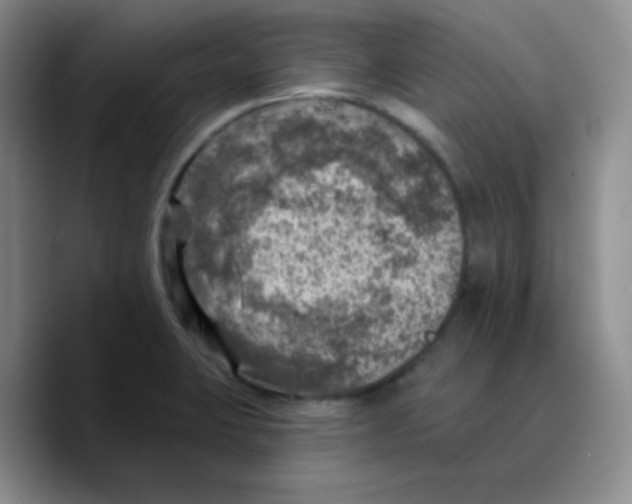 X0000089701423200707201731