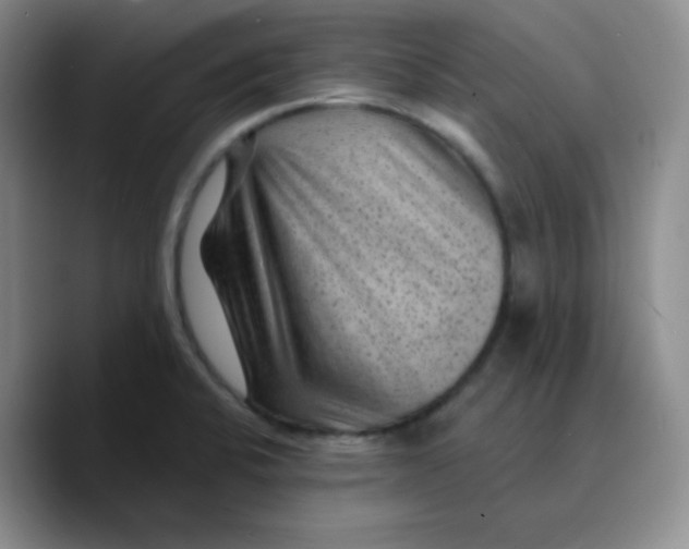 X0000089701424200707201731