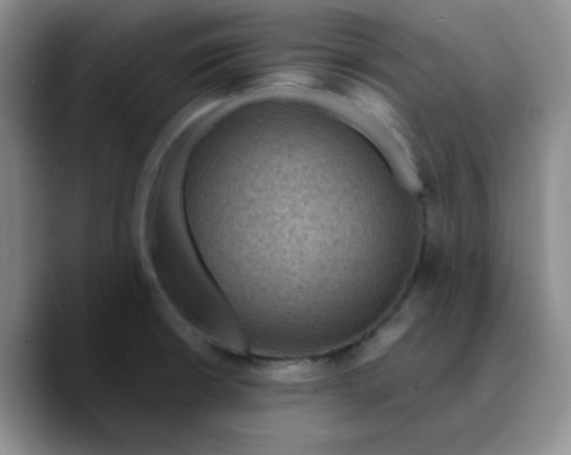 X0000089701426200707201731