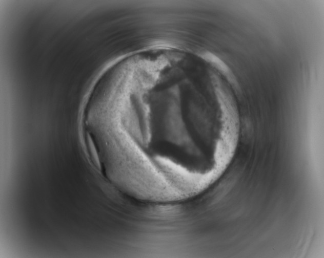 X0000089701427200707201731
