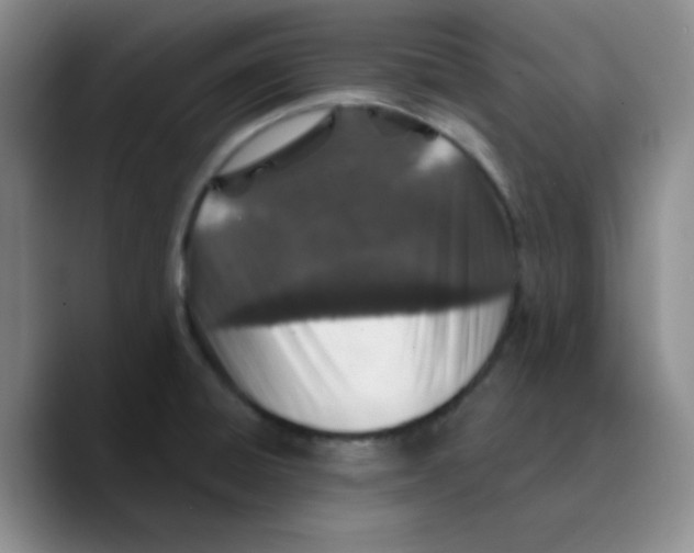 X0000089701428200707201731