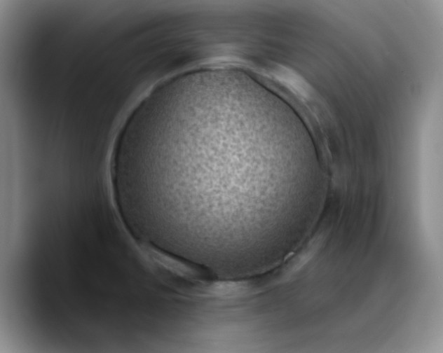X0000089701430200707201731