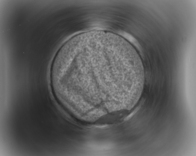 X0000089701431200707201731