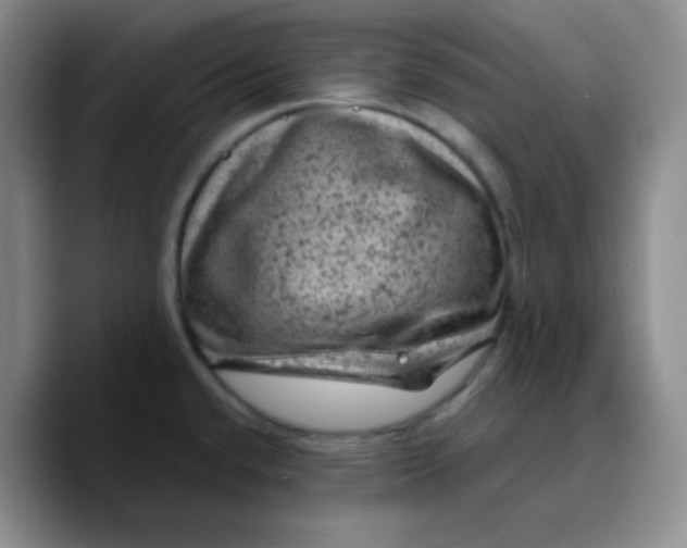 X0000089701432200707201731