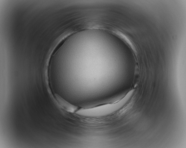 X0000089701434200707201731