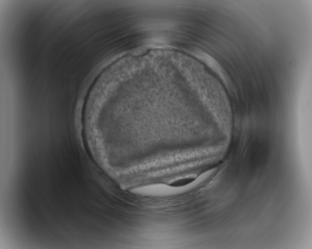X0000089701435200707201731