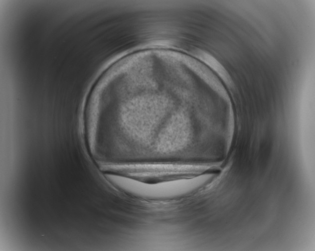 X0000089701436200707201731
