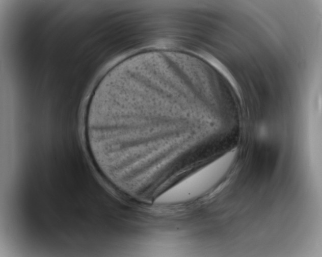 X0000089701437200707201731