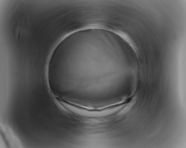 X0000089701438200707201731