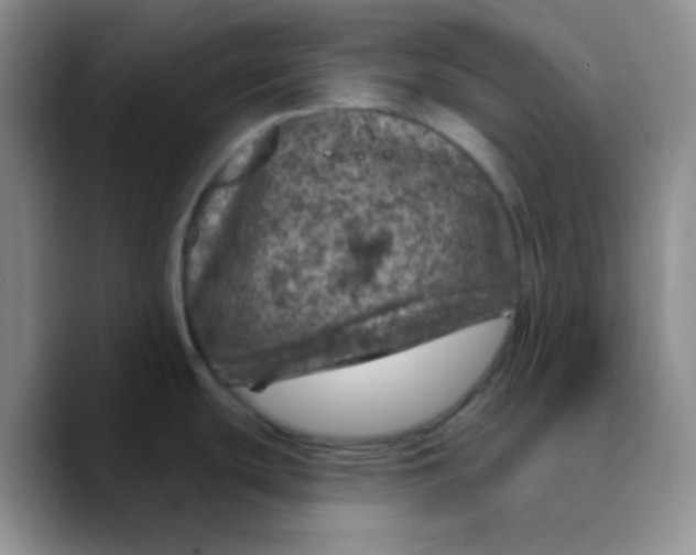 X0000089701439200707201731