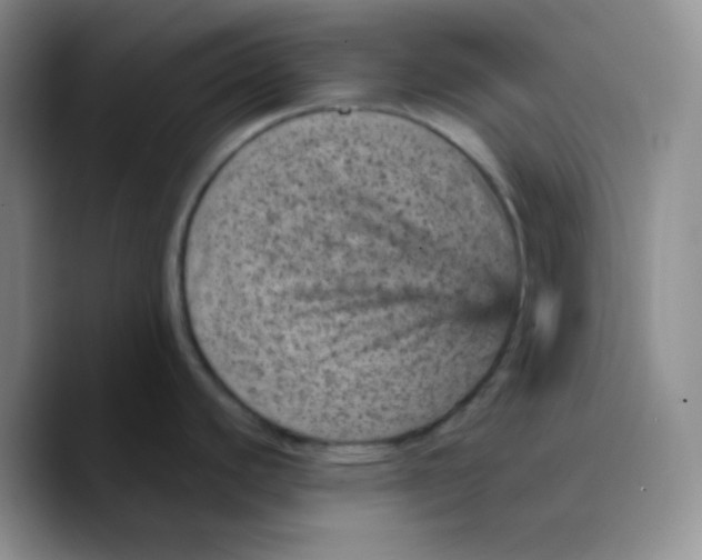 X0000089701440200707201731