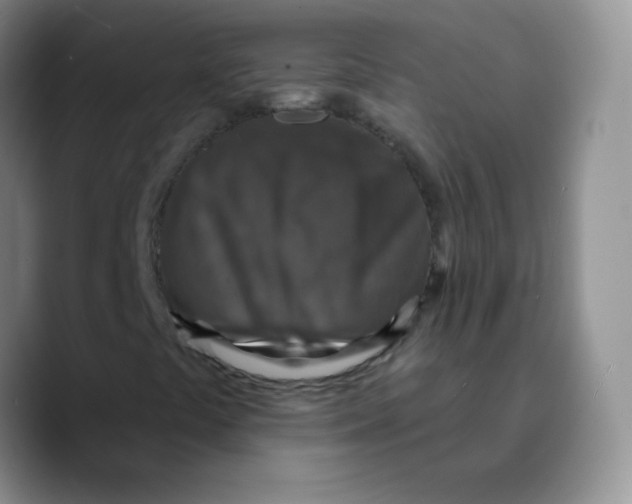 X0000089701441200707201731